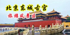 嗯嗯啊用力干视频中国北京-东城古宫旅游风景区